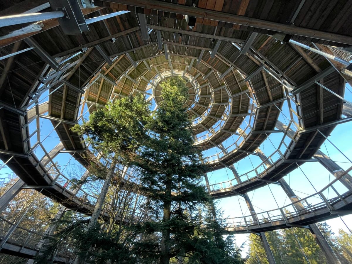 Der Bayerische Wald: Das grüne Herz Ostbayerns und das Tor zu Europa