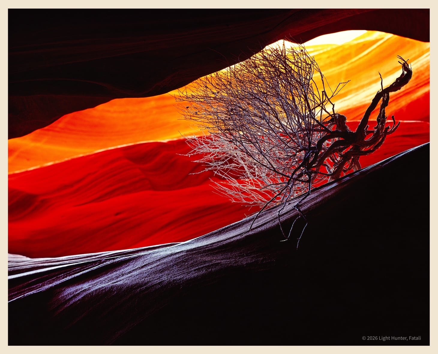 The LIGHT HUNTER – A Personal Tribute to Fatali