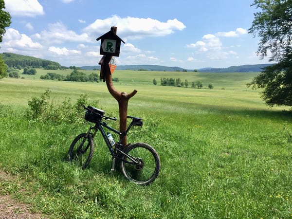 Der Rennsteig im Thüringer Wald