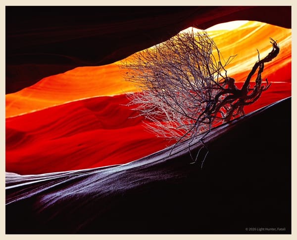 The LIGHT HUNTER – A Personal Tribute to Fatali